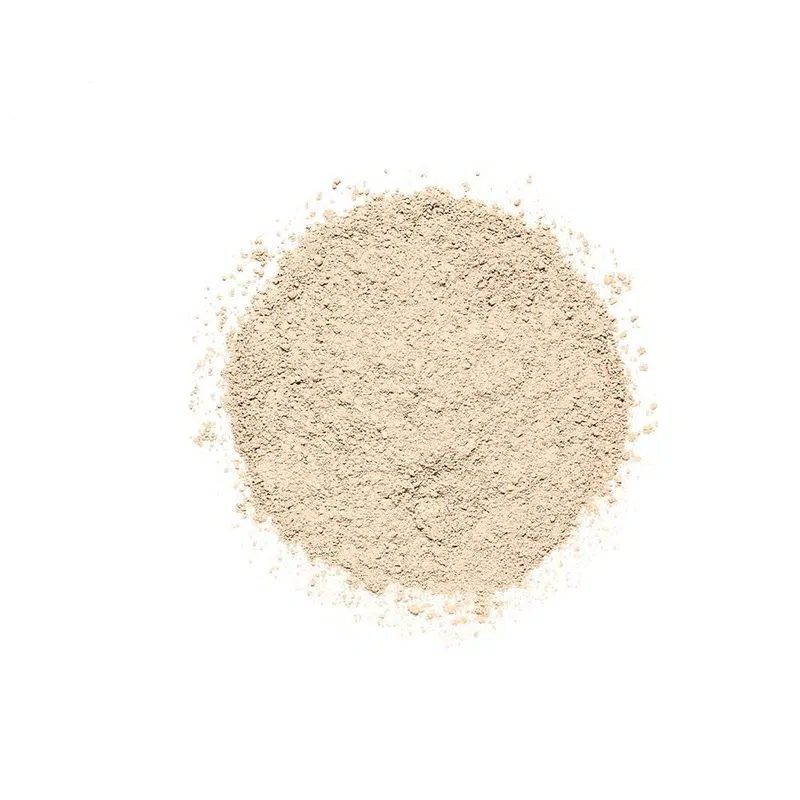 Polvo Compacto Sp Pro Nailen #100
