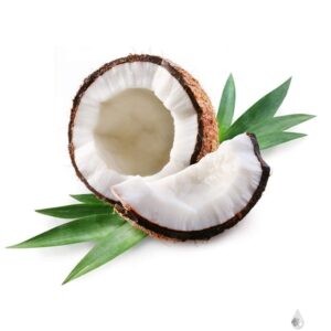 Aceite Lehit De Coco X 12Gr